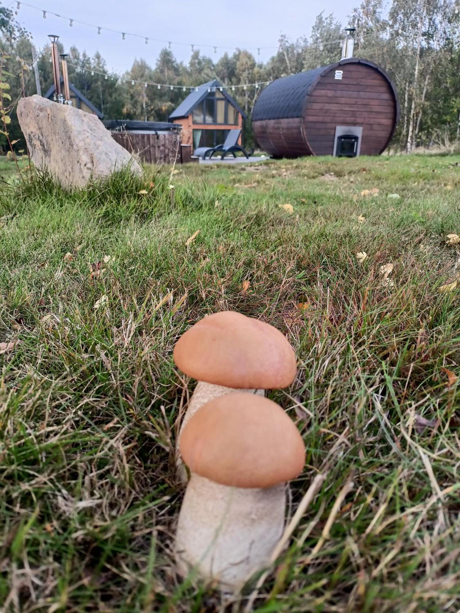 Barn House Feriehus *